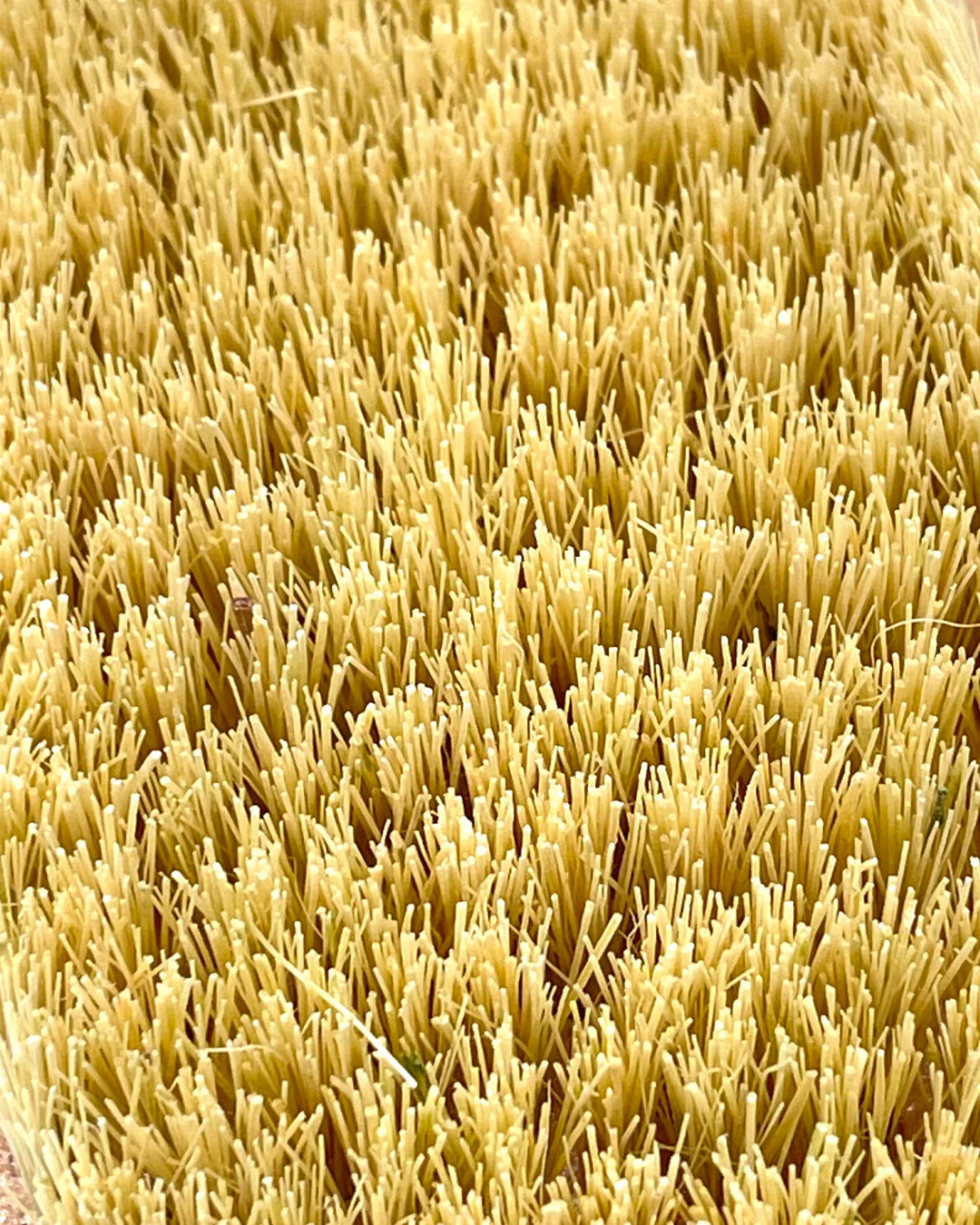 AvlynaBrosse® massage à sec - stimule la circulation & lisse la peau